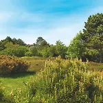 Bettinenhof West